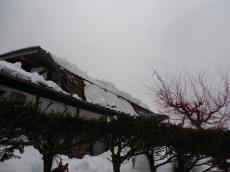 屋根を正面から見ると、明らかに垂木が折れています。<br />
垂木が折れることで、屋根の崩落や変形のリスクが高まり非常に危険な状態となります。