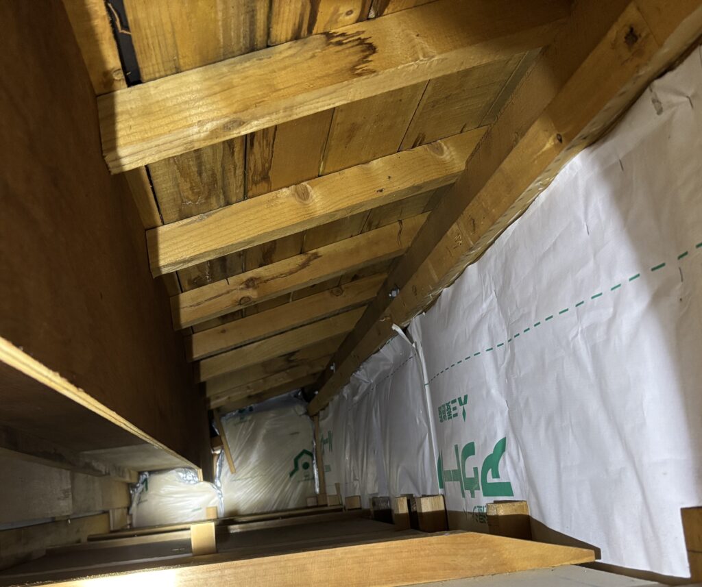 屋根裏を見てみると野地板・垂木の所に雨が染みているのが分かりました。