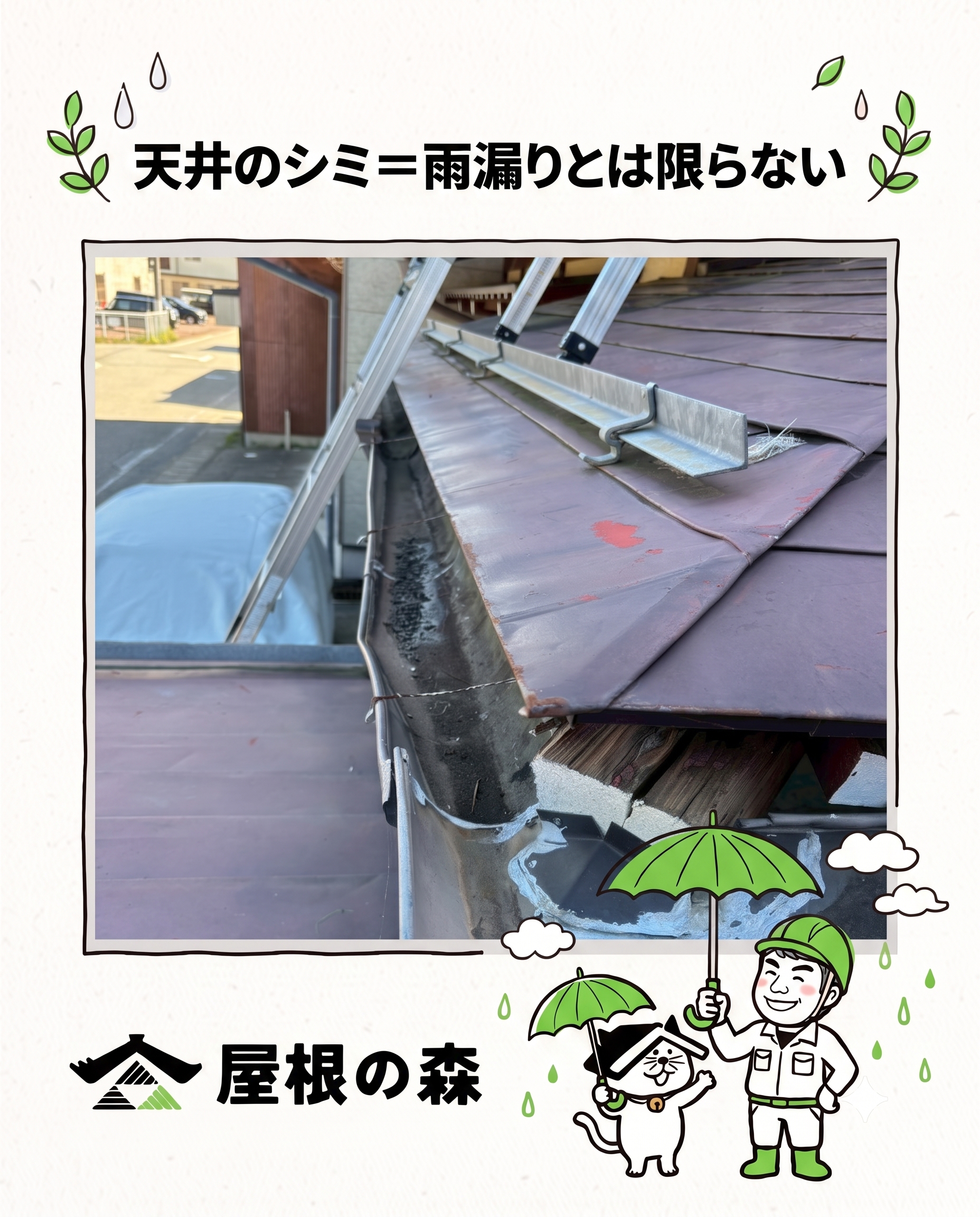 劣化サイン・豆知識