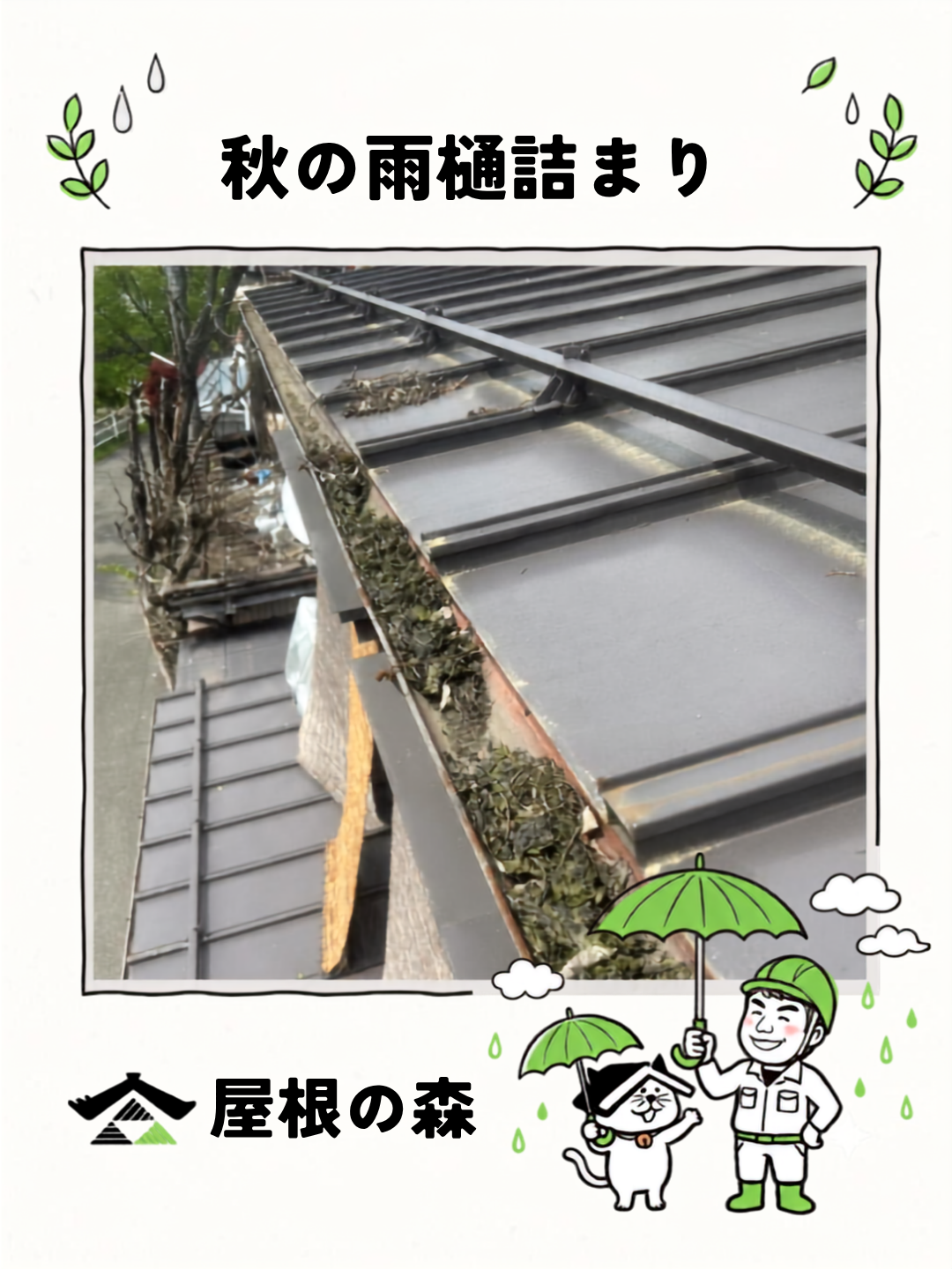 秋の雨樋詰まり